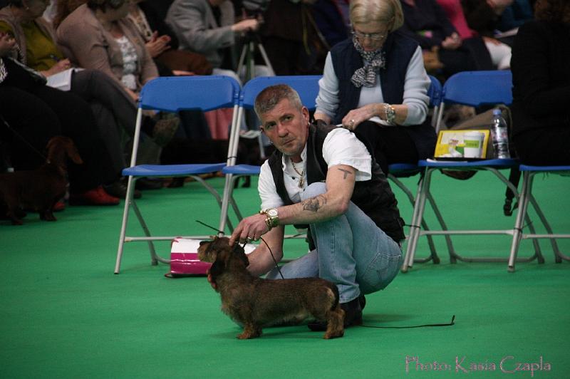 Crufts2011_2 690.jpg